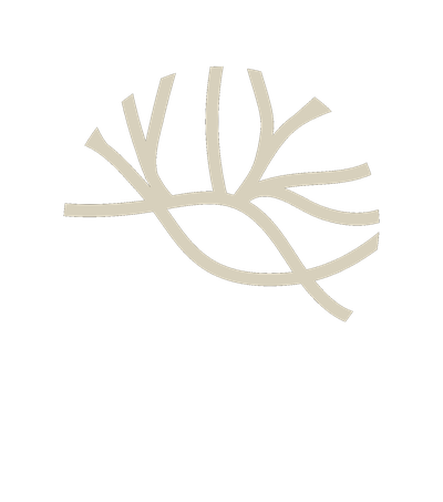Brain Academy